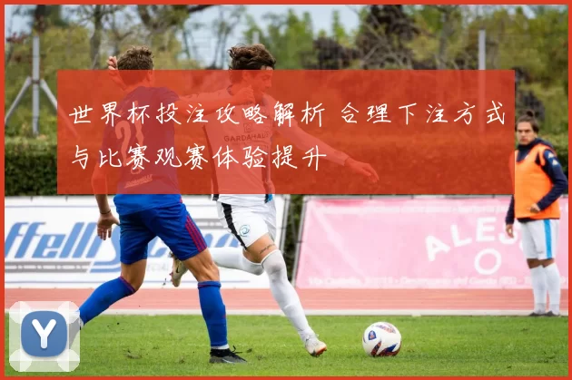 世界杯投注攻略解析 合理下注方式与比赛观赛体验提升