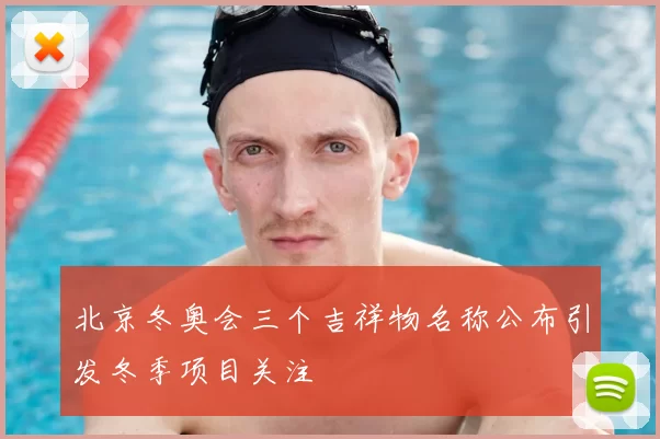 北京冬奥会三个吉祥物名称公布引发冬季项目关注